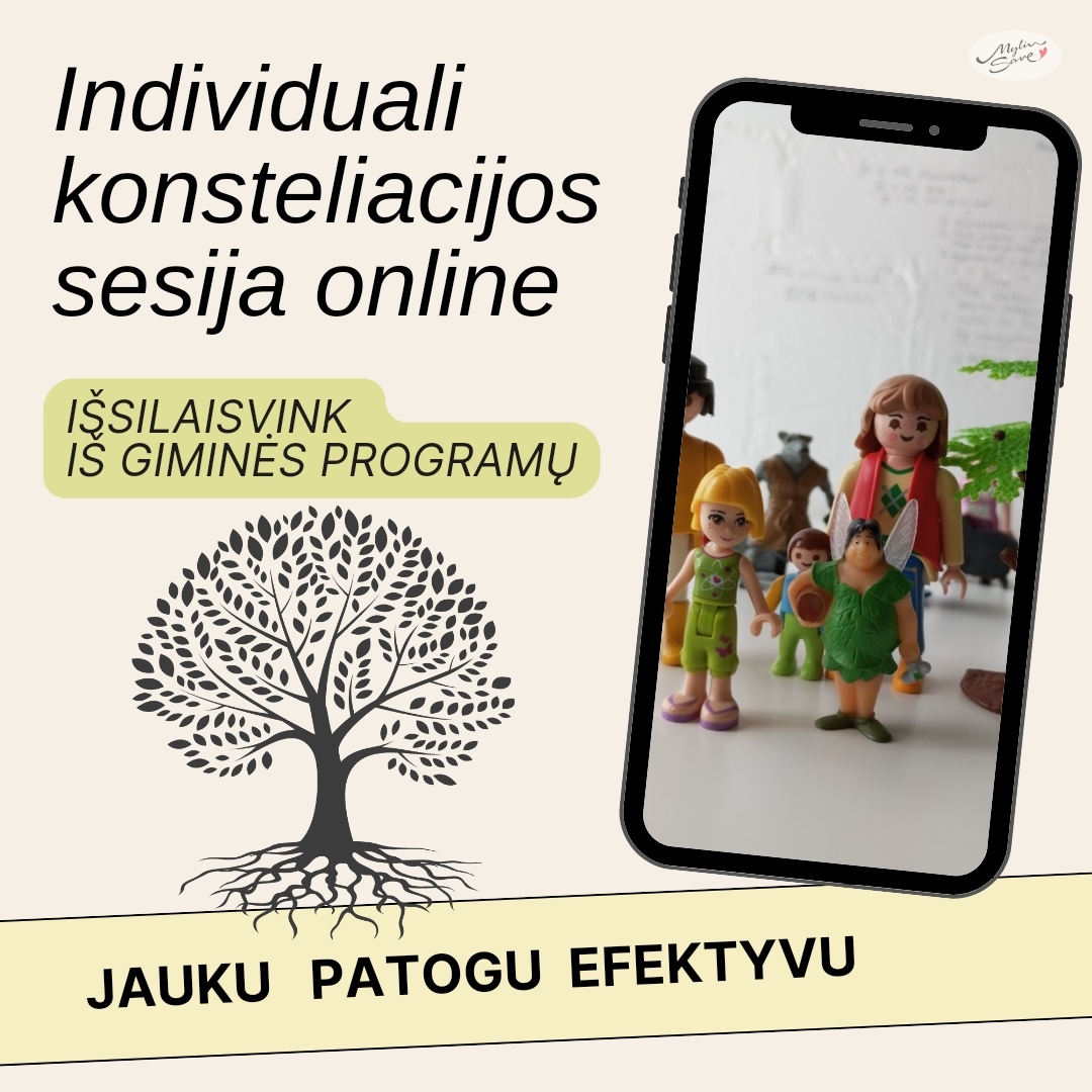 Individuali šeimos konsteliacijos sesija online su Viktorija Leontjeva MS050